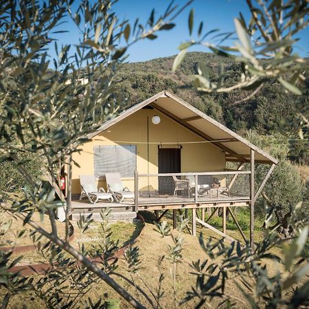Glamping Tuscany - Podere Cortesi Santa Luce Extérieur photo