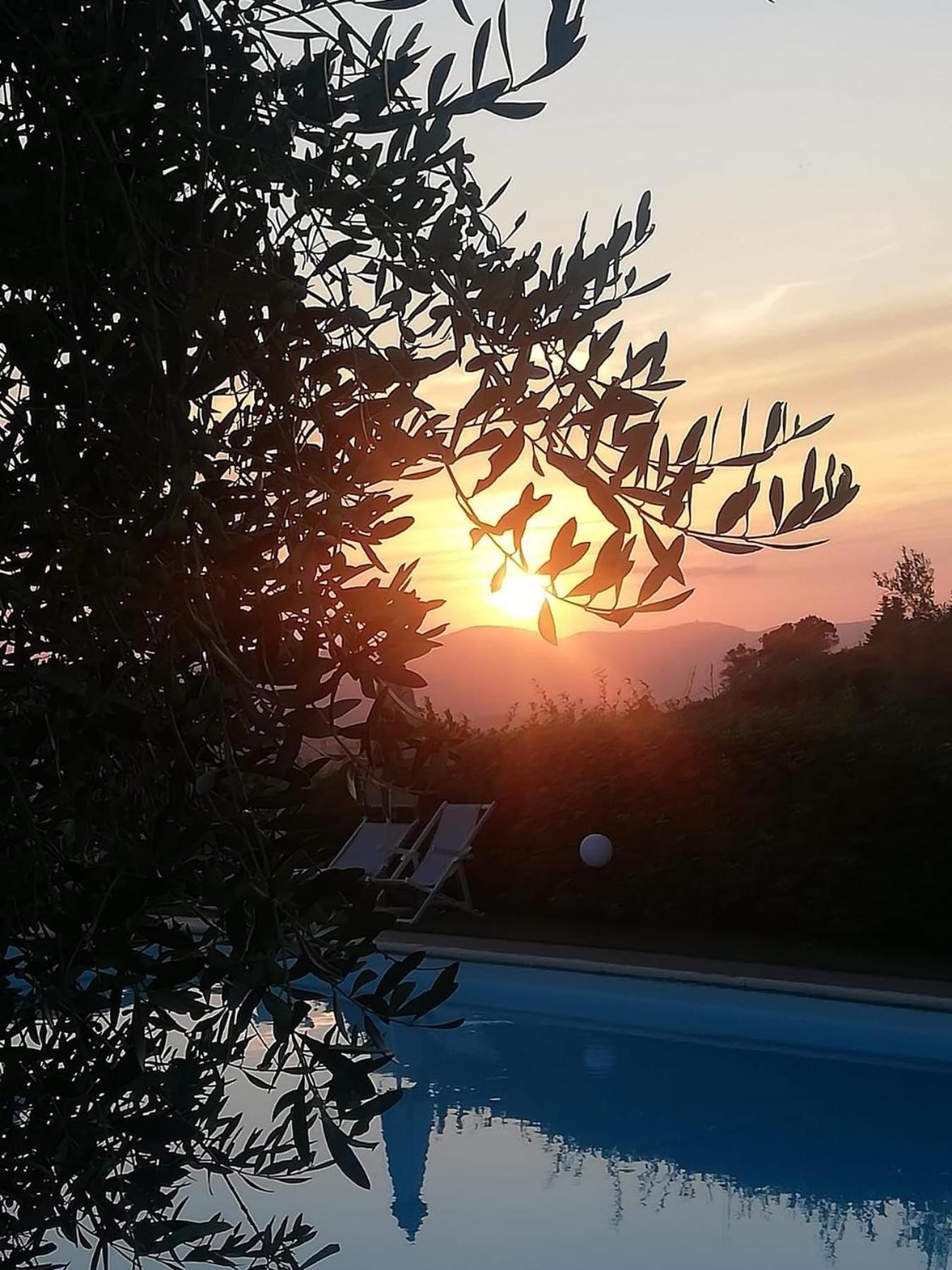 Glamping Tuscany - Podere Cortesi Santa Luce Extérieur photo
